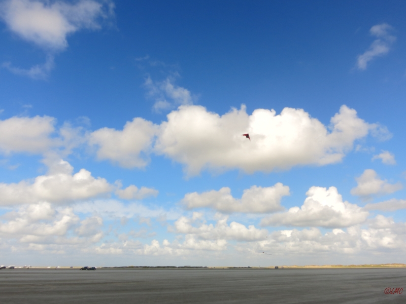 Roemoe_2014_066