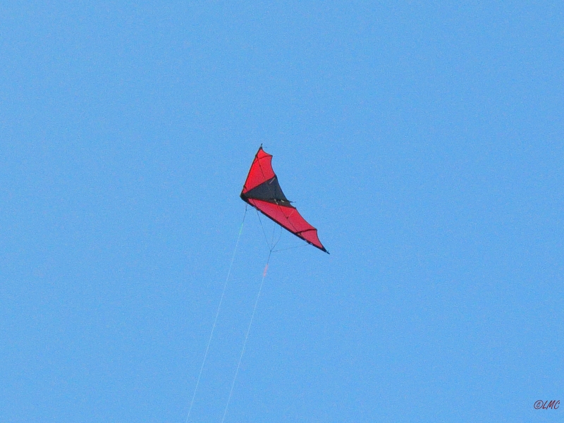 Roemoe_2014_067