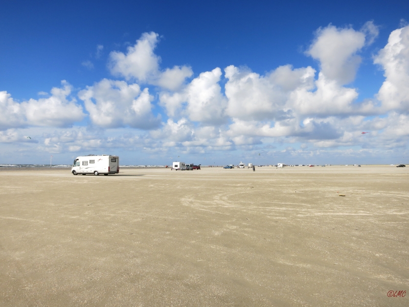 Roemoe_2014_069
