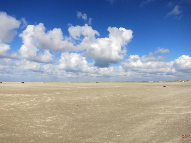 Roemoe_2014_070