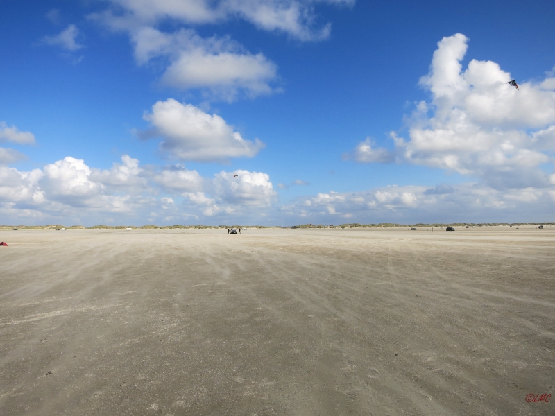 Roemoe_2014_071