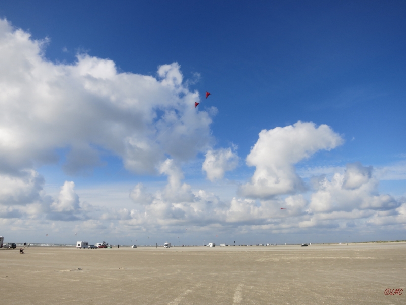 Roemoe_2014_078