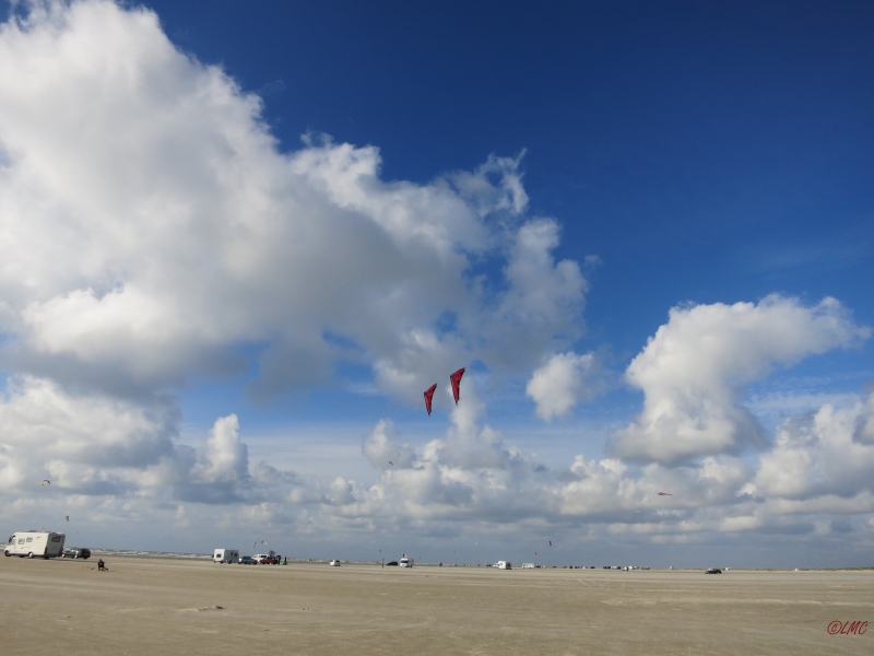 Roemoe_2014_079
