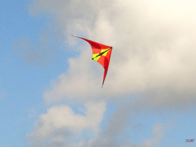 Roemoe_2014_081
