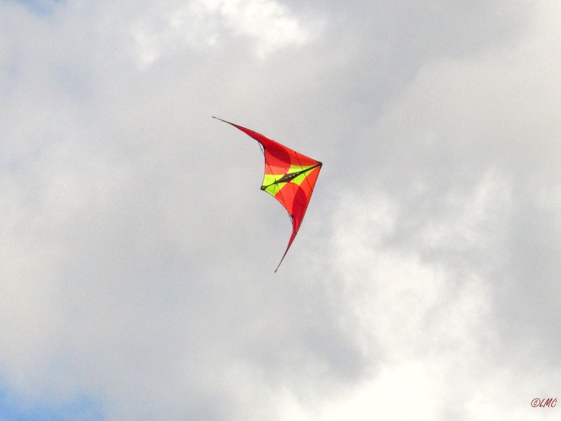 Roemoe_2014_082