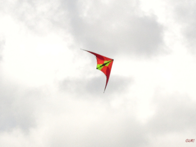 Roemoe_2014_084