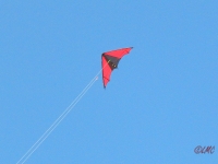 Roemoe_2014_064