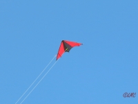 Roemoe_2014_065