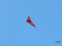 Roemoe_2014_067