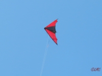 Roemoe_2014_068