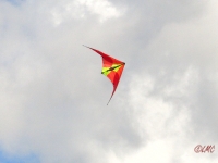 Roemoe_2014_082