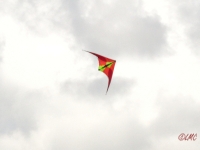 Roemoe_2014_084