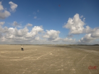 Roemoe_2014_085