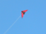 Roemoe_2014_064