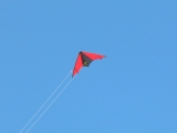 Roemoe_2014_065
