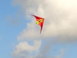 Roemoe_2014_081