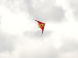 Roemoe_2014_084