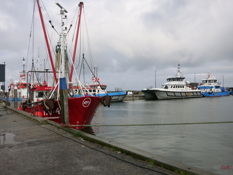 Roemoe_2014_099