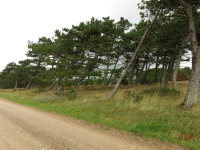Roemoe_2014_087