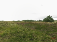 Roemoe_2014_091