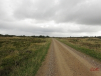 Roemoe_2014_092