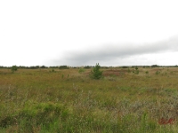 Roemoe_2014_093