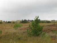 Roemoe_2014_094