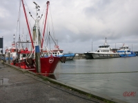 Roemoe_2014_099