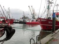 Roemoe_2014_101