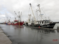 Roemoe_2014_103