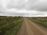 Roemoe_2014_092