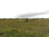 Roemoe_2014_093