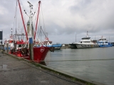 Roemoe_2014_099
