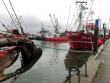 Roemoe_2014_100