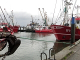 Roemoe_2014_101
