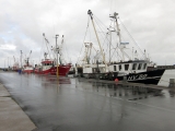 Roemoe_2014_103