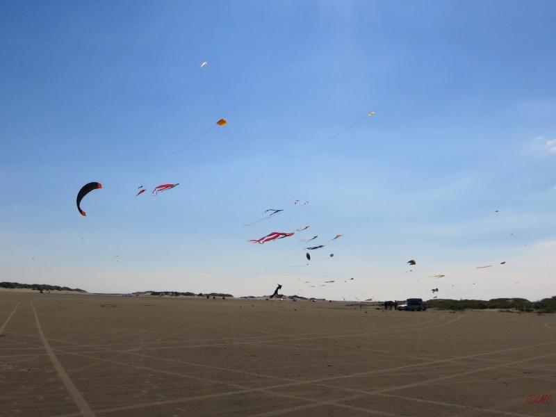 Roemoe_2014_109