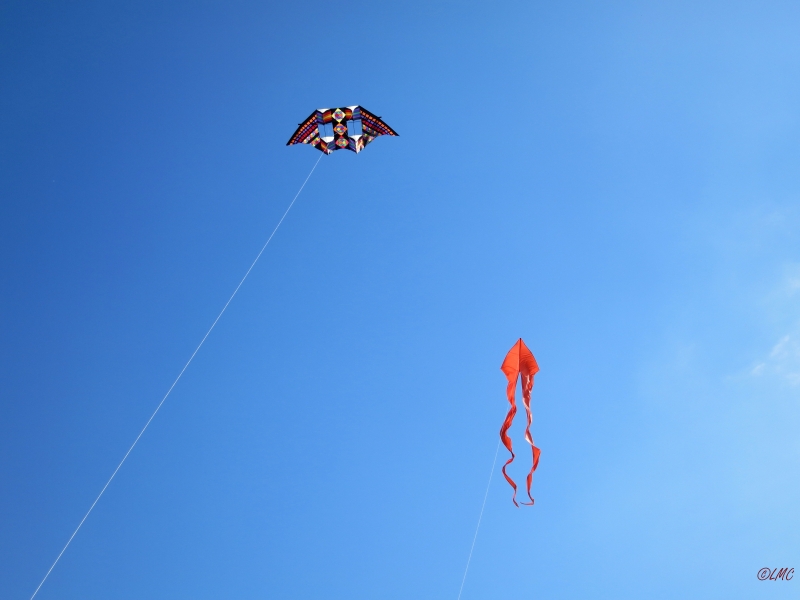 Roemoe_2014_111