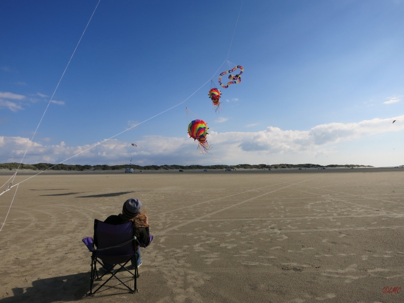Roemoe_2014_113