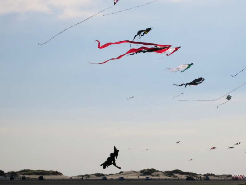 Roemoe_2014_114