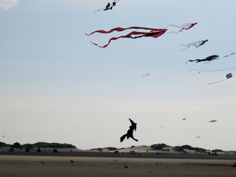 Roemoe_2014_115