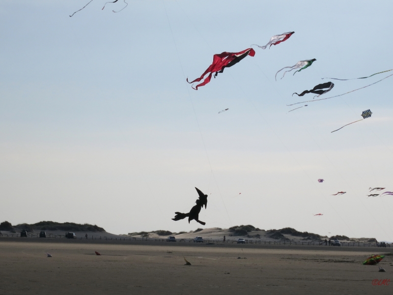 Roemoe_2014_116