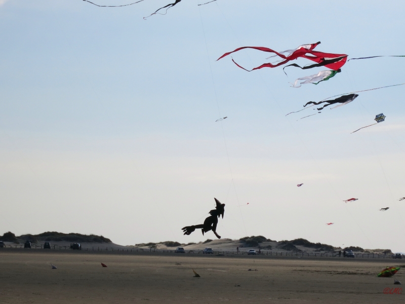 Roemoe_2014_117