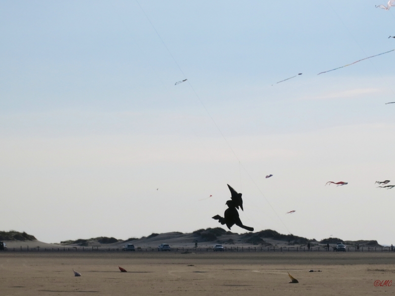 Roemoe_2014_118