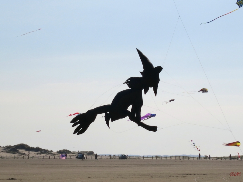 Roemoe_2014_122