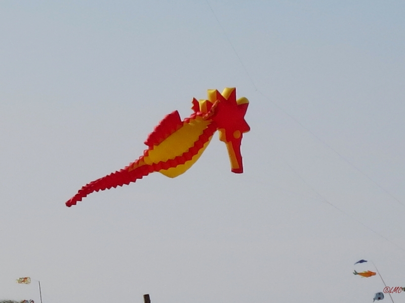 Roemoe_2014_125