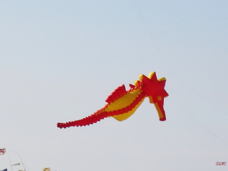 Roemoe_2014_126