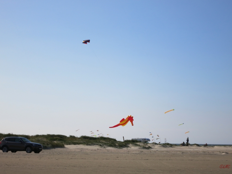 Roemoe_2014_127