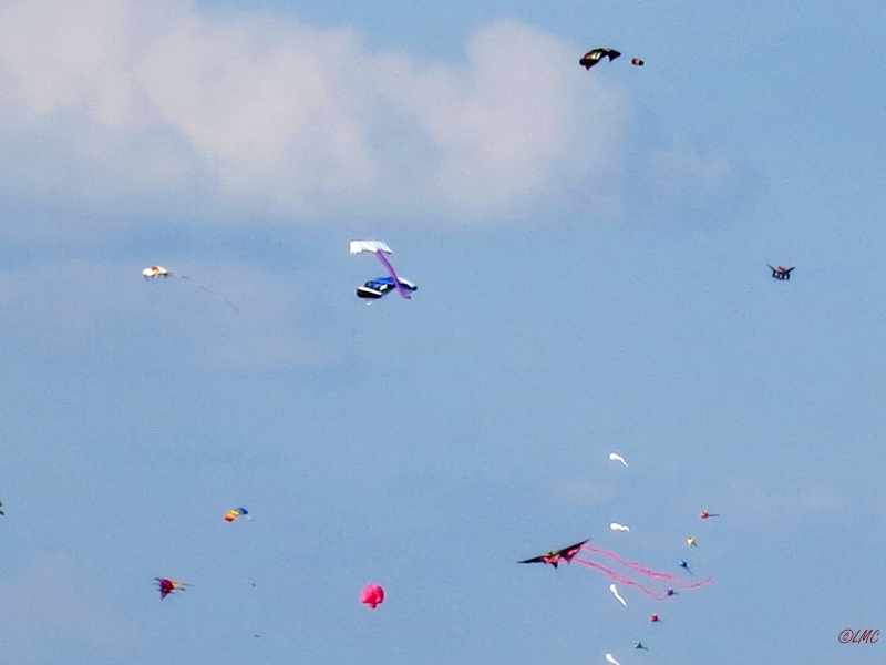 Roemoe_2014_128