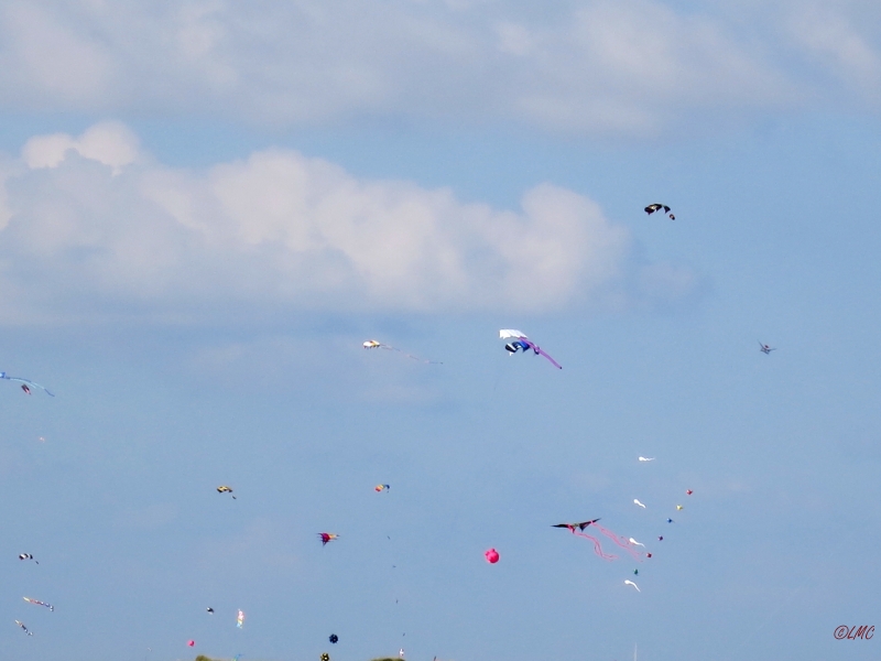 Roemoe_2014_129